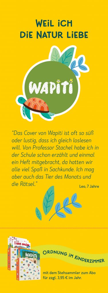 Gestaltung Elterninformation - Grafikerin Fürth